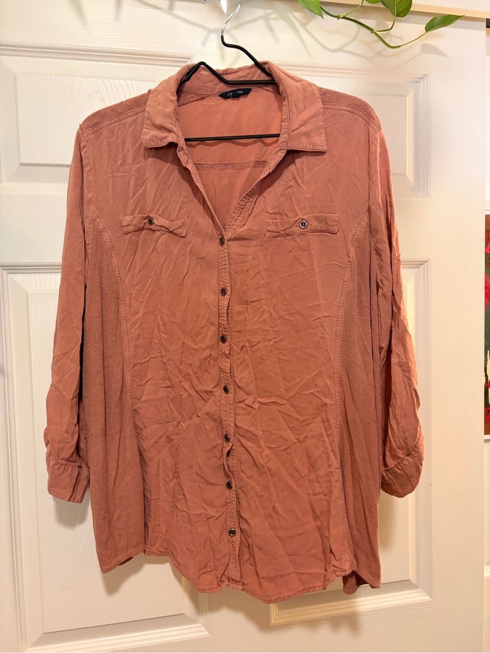 Cavalini Dusty Rose Button-Down Shirt